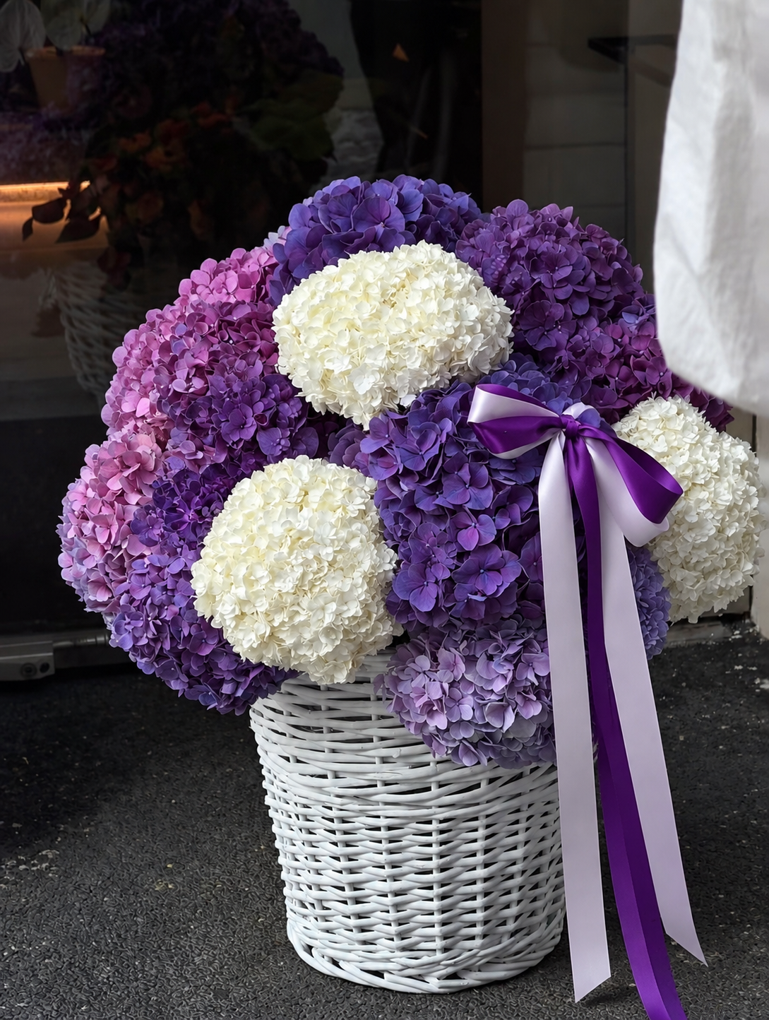 Pre-Order Required - Single Variety Collection - Signature Hydrangea