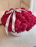 Pre-Order Required - Single Variety Collection - Signature Hydrangea