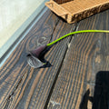 Black Mini Calla Lily 迷你马蹄莲