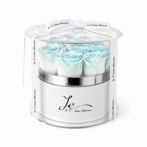 Classic Round Box-Glacier Blue