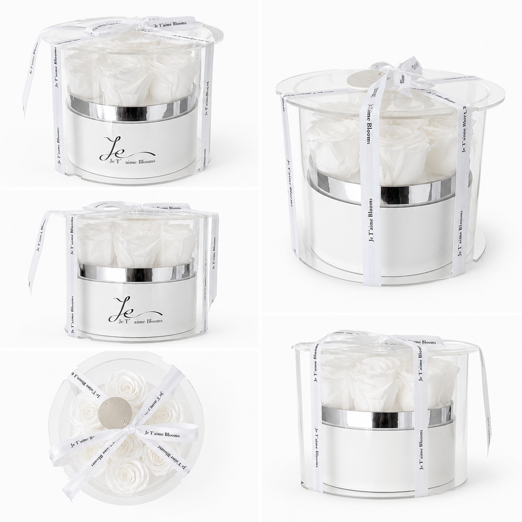 Classic Round Box-Ivory White