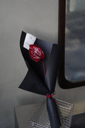 Anthurium Burgundy