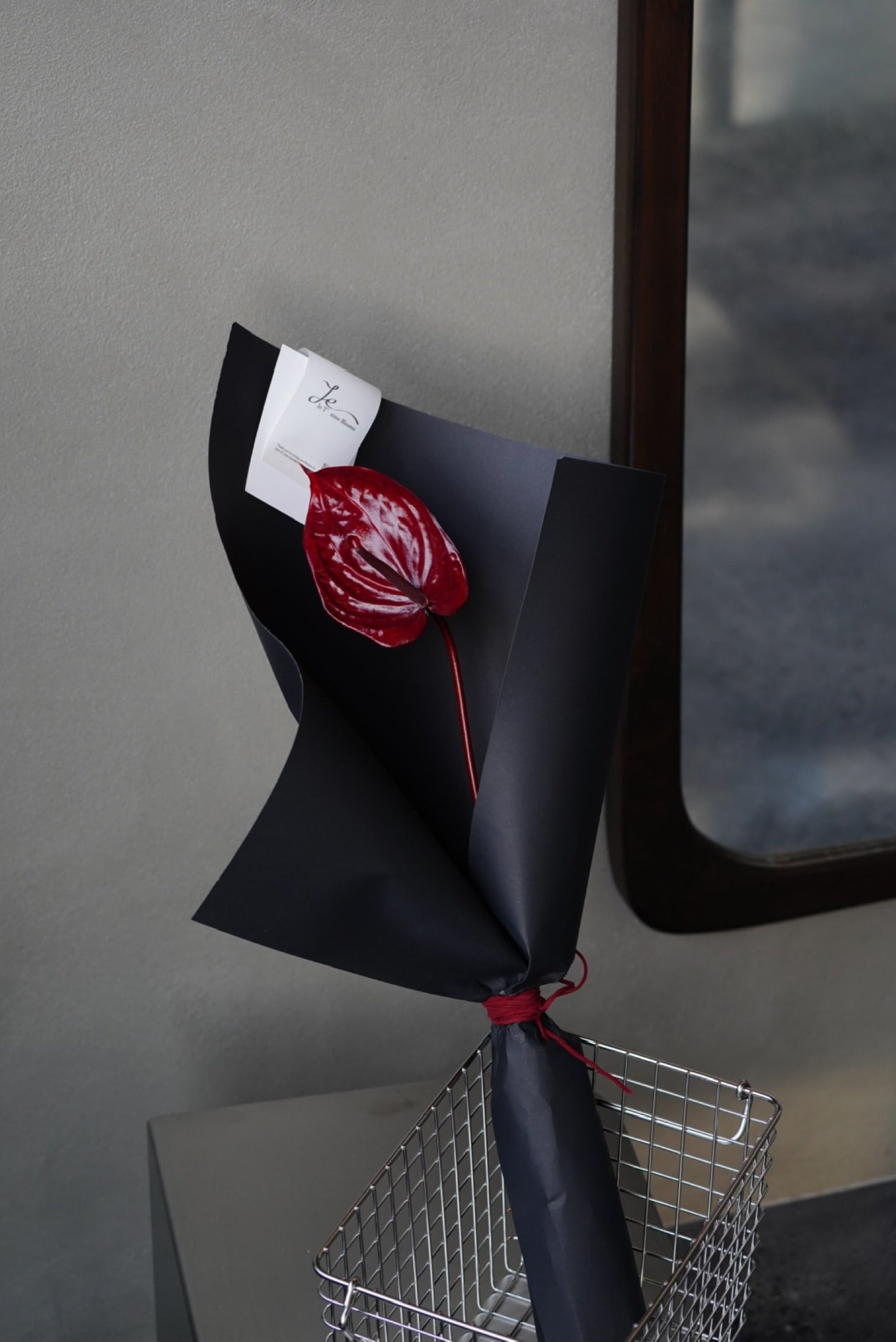 Anthurium Burgundy