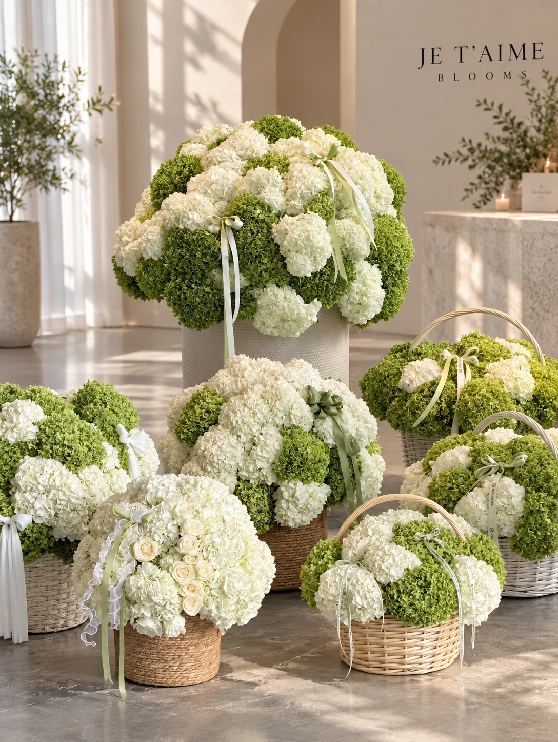 Pre-Order Required - Single Variety Collection - Signature Hydrangea