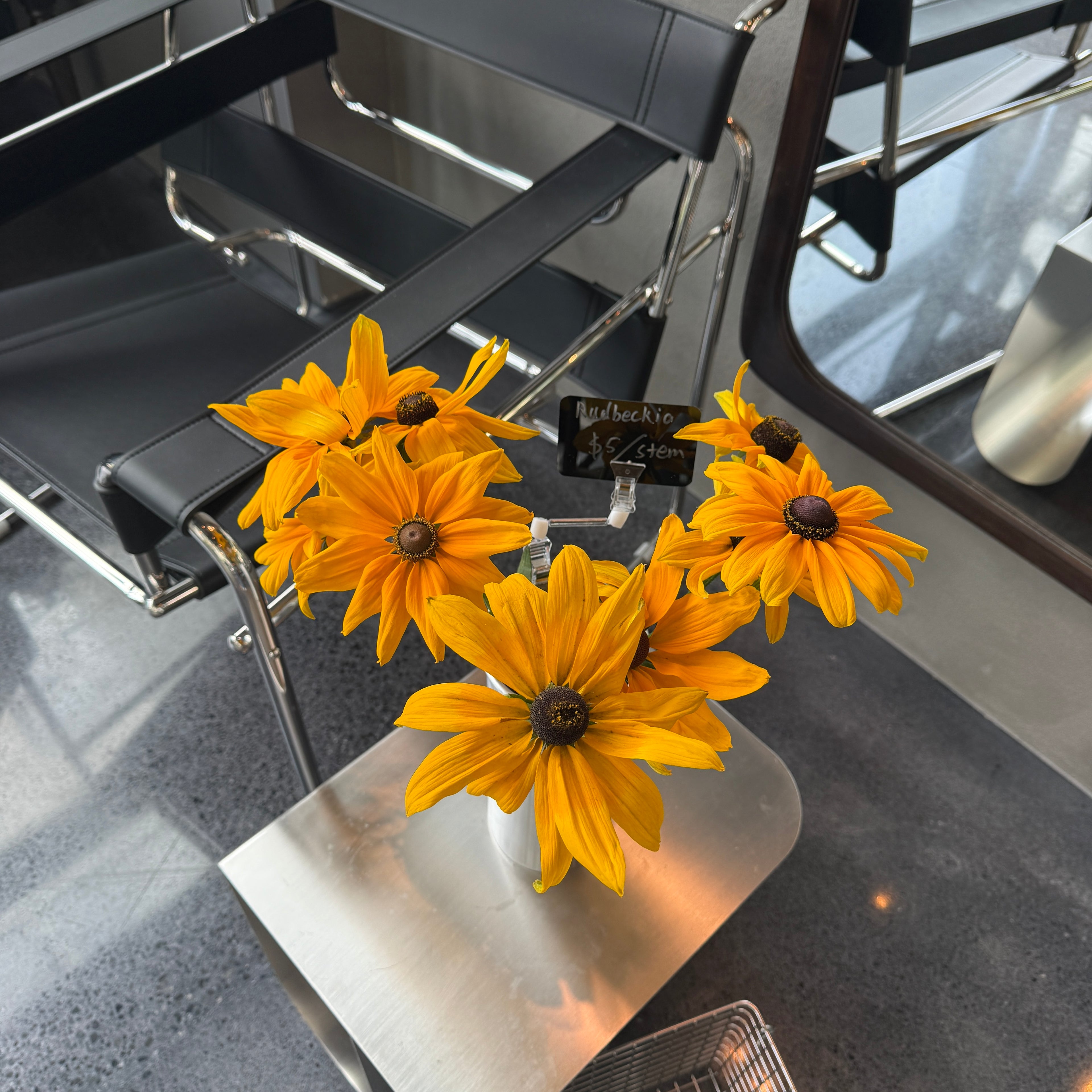 Rudbeckia ‘Indian Summer’ 印度夏日黑心菊