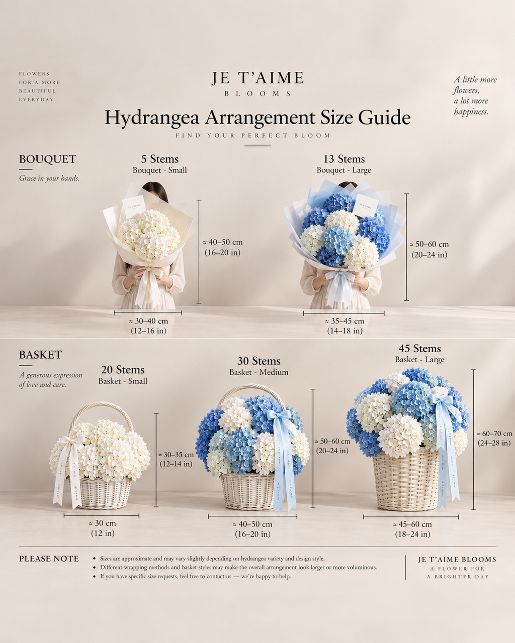 Pre-Order Required - Single Variety Collection - Signature Hydrangea