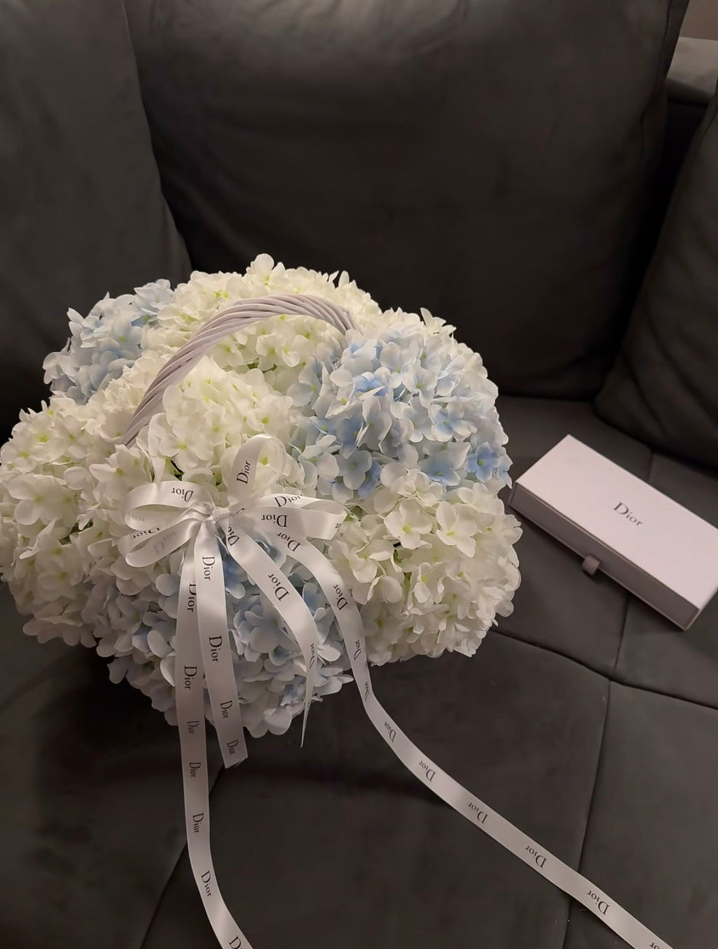 Single Variety Collection - Signature Hydrangea