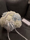 Single Variety Collection - Signature Hydrangea