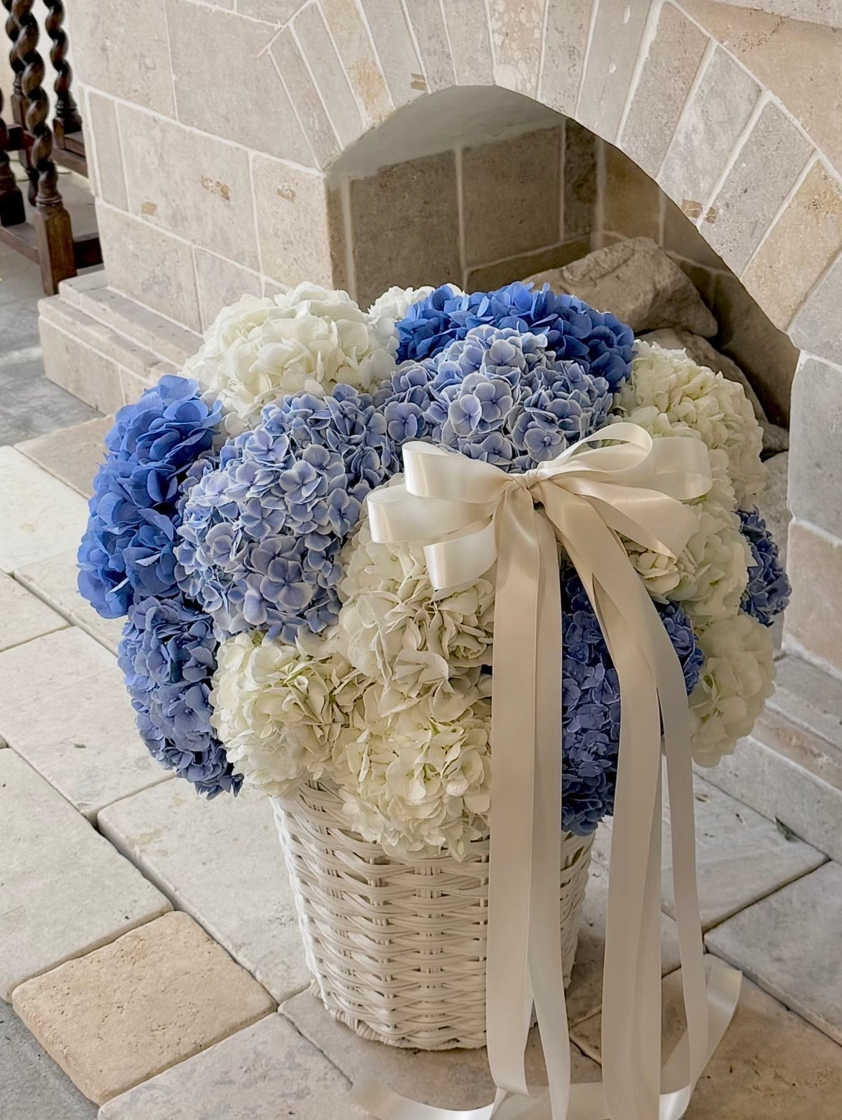 Pre-Order Required - Single Variety Collection - Signature Hydrangea