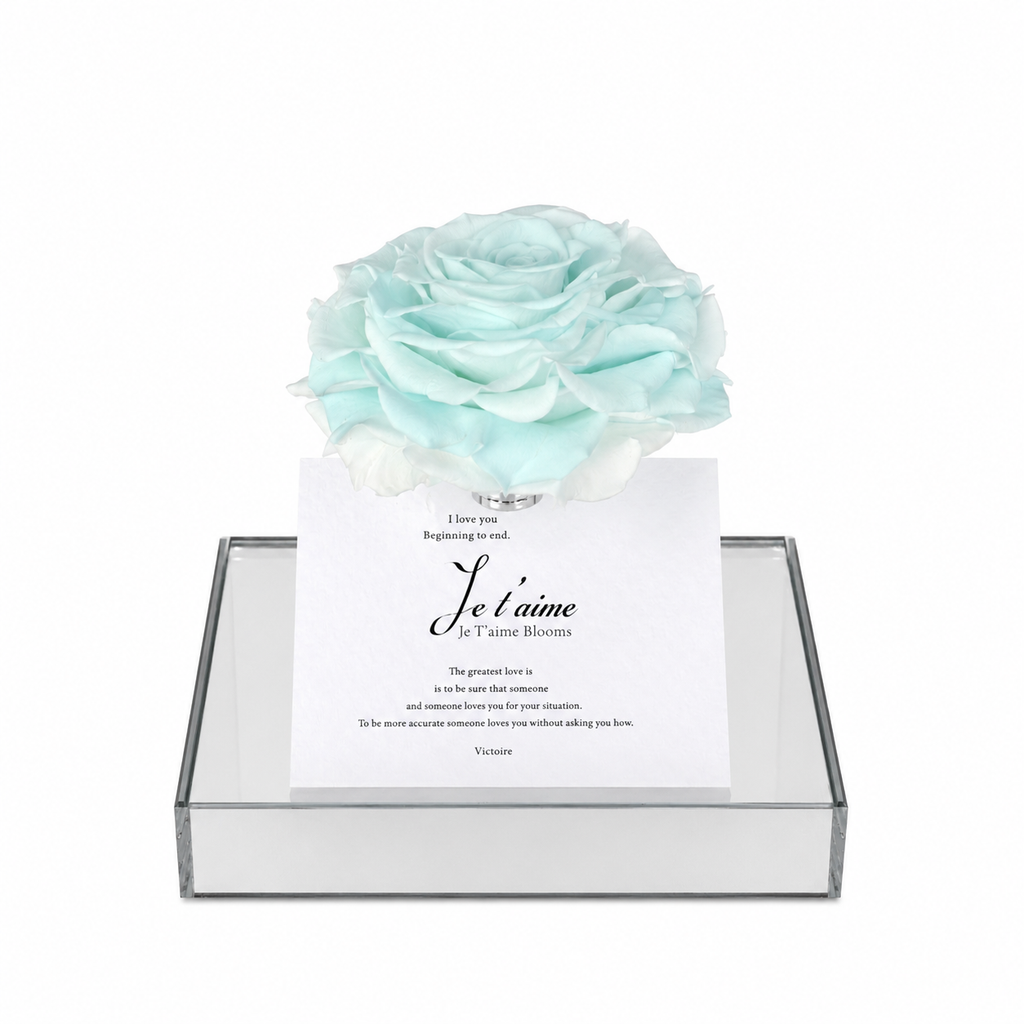Signature Bloom Collection-Glacier Blue