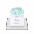 Signature Bloom Collection-Glacier Blue