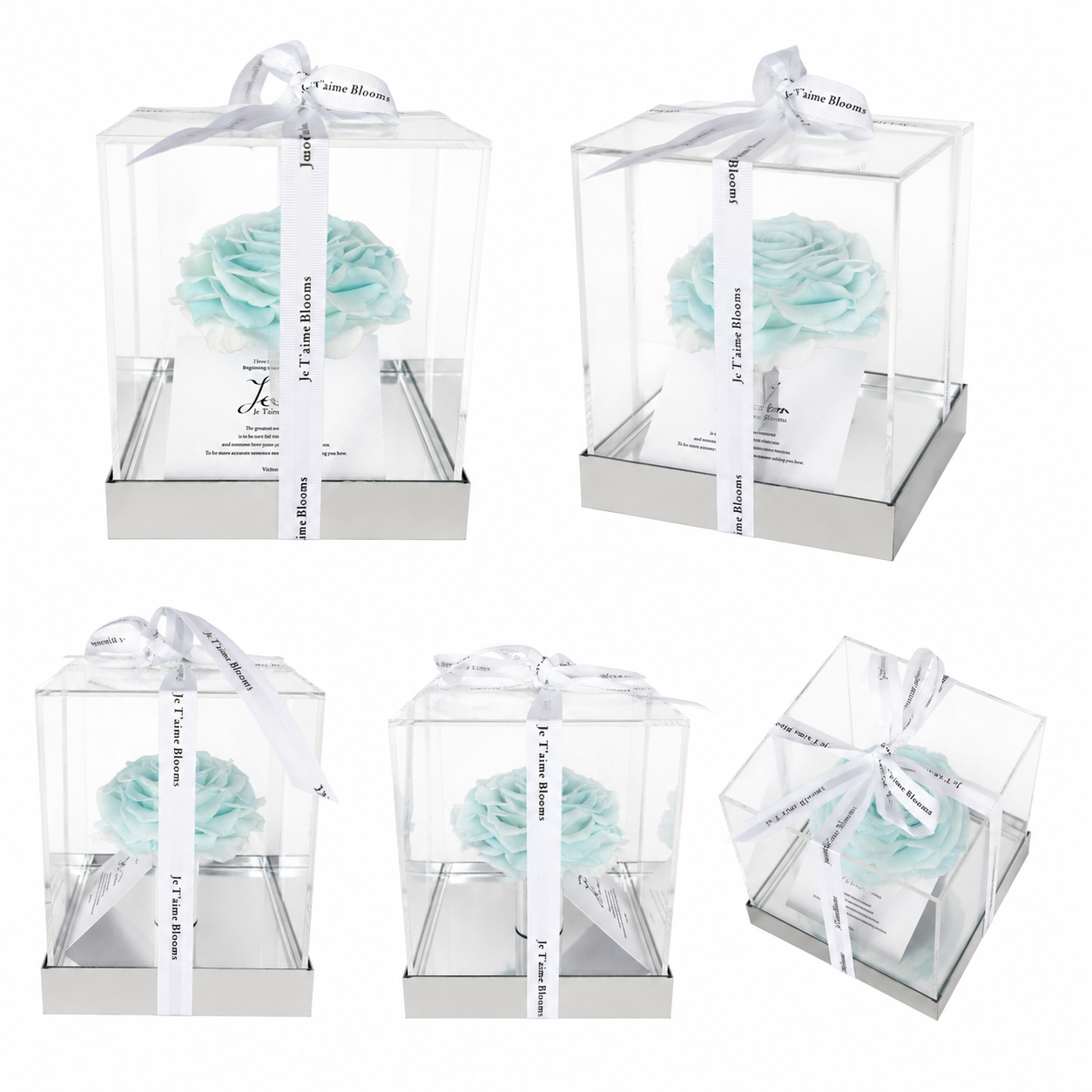 Signature Bloom Collection-Glacier Blue
