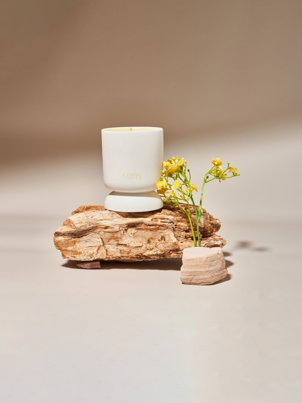 Melon Sea Moss (Candle)